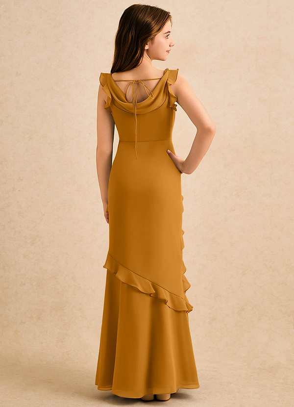 Azazie Aria Girls Formal Sukienki dla dziewczynek sypiących kwiaty Syrena Marszczony Szyfon Długość podłogi Sukienka image1