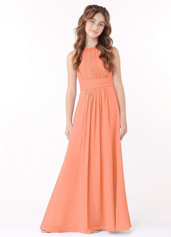 Azazie Bonnie Junior Sunset A-Line Pleated Chiffon Dress image1