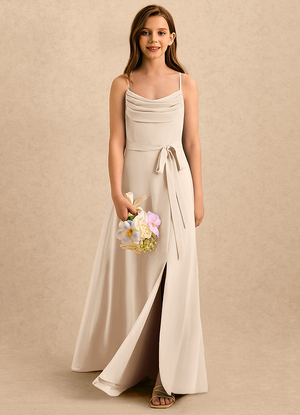 Azazie Jasslyn Girls Formal Sukienki dla dziewczynek sypiących kwiaty Linia A Pofałdowany Szyfon Długość podłogi Sukienka image1