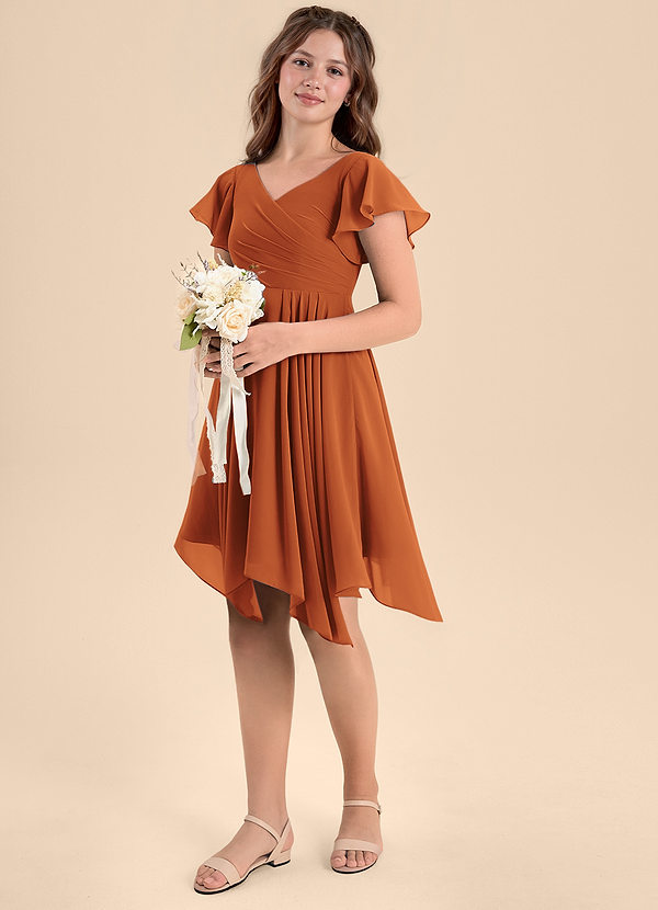 Azazie Janeaurelia Junior Cinnamon A-Line Pleated Chiffon Dress image1