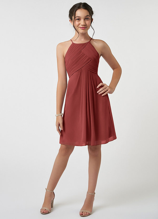 Azazie Ginny Junior Terracotta A-Line Pleated Chiffon Dress image1