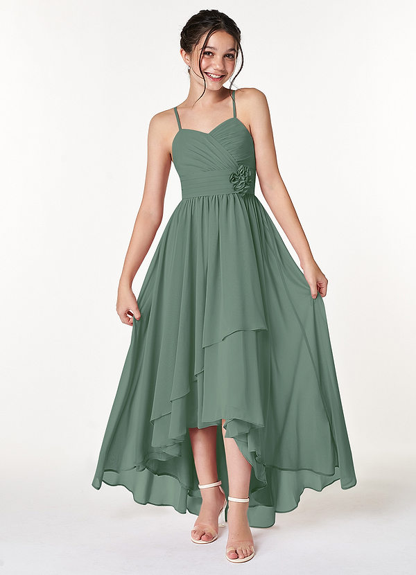 Azazie Catalina Junior Eucalyptus A-Line Ruched Chiffon Dress image1