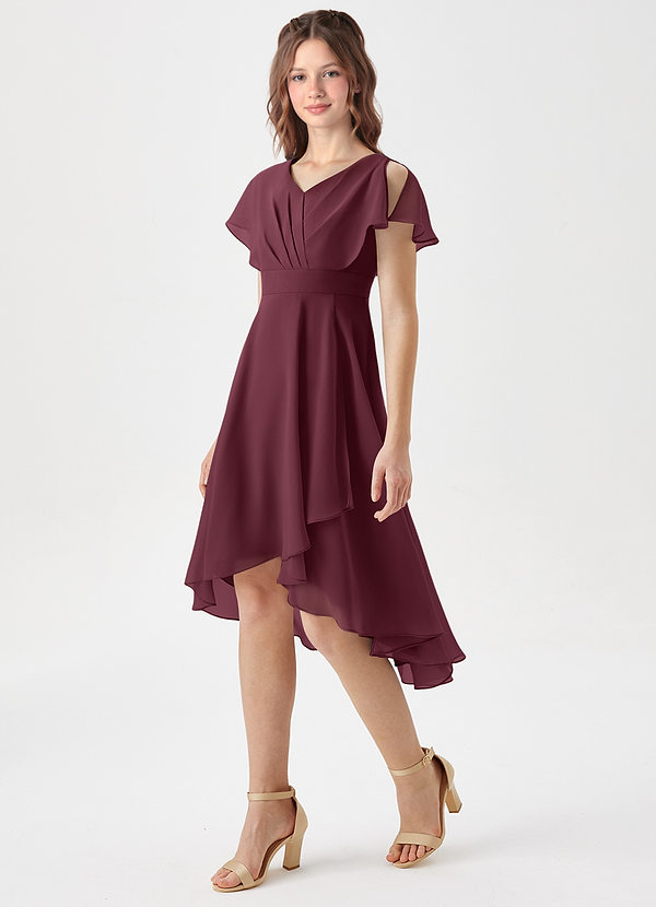 Azazie Graciela Junior Cabernet A-Line Pleated Chiffon Dress image1