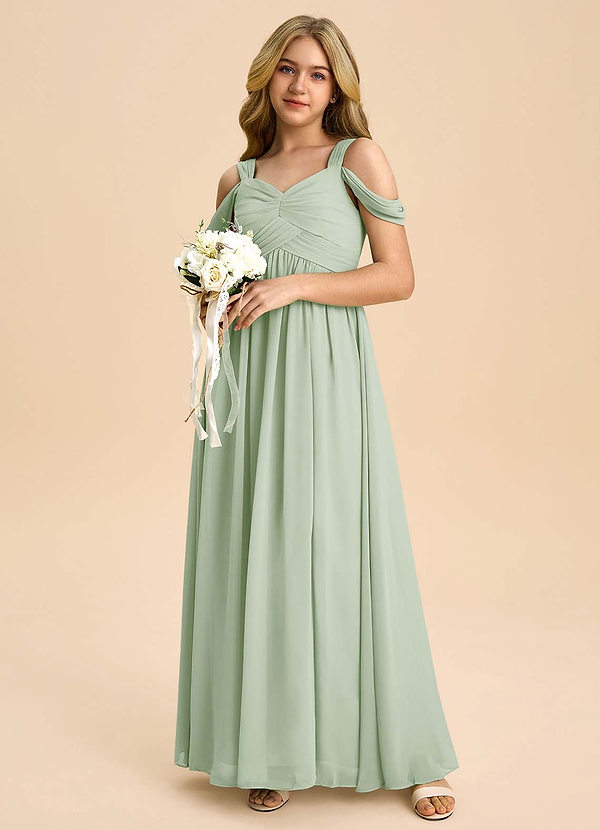 Azazie Lianne Junior Dusty Sage A-Line Off the Shoulder Chiffon Dress image1