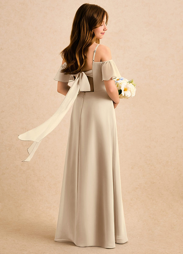 Azazie Robyn Girls Formal Sukienki dla dziewczynek sypiących kwiaty Linia A Dekolt w kształcie serca Szyfon Długość podłogi Sukienka image1