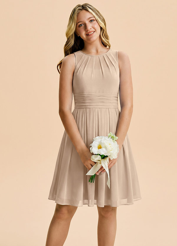 Azazie Bibiane Junior Linia A Plisowana Szyfon Mini Młodsza Druhna Sukienka image1