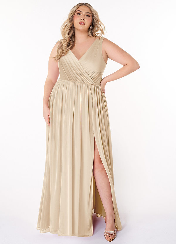 Azazie Tanicia Bridesmaid Dresses Champagne A-Line V-Neck Pleated Mesh Dress image1