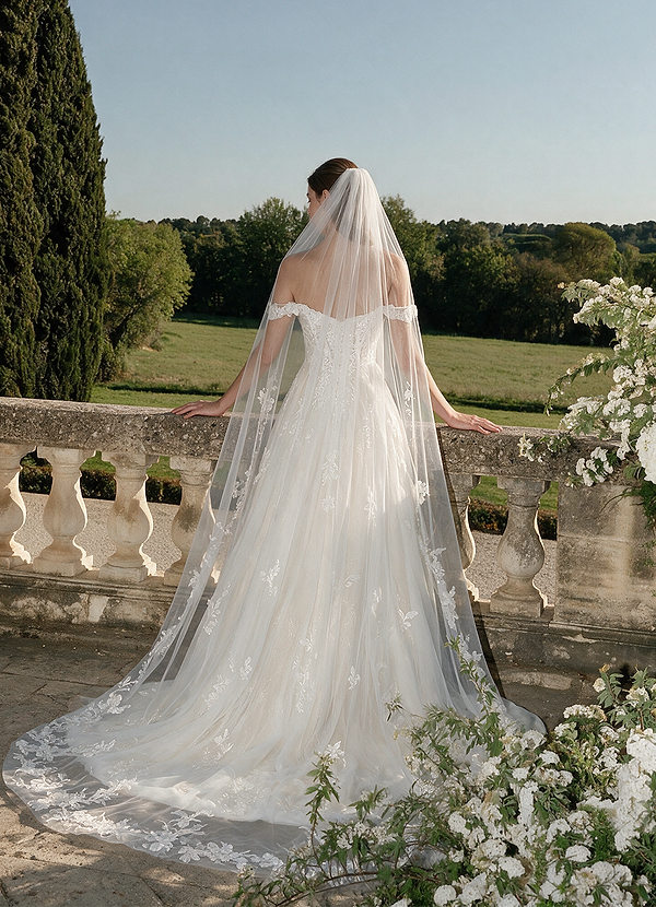 front Schleier aus floraler Spitze mit Rosenmotiv