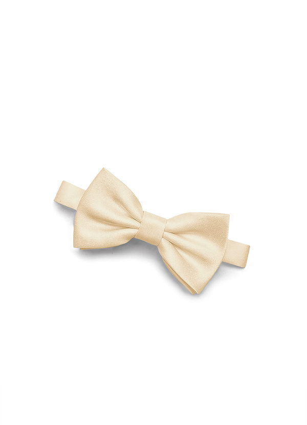 back Gentlemen's Collection Boy's Matte Satin Pre-Tied Bow Tie