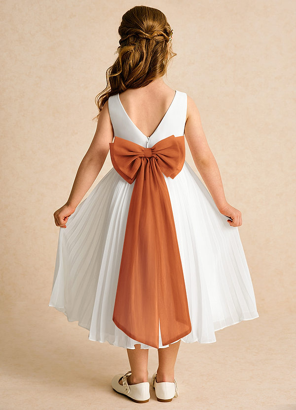 Azazie Margot Flower Girl Dresses Ivory Cinnamon A-Line Pleated Chiffon Dress image1