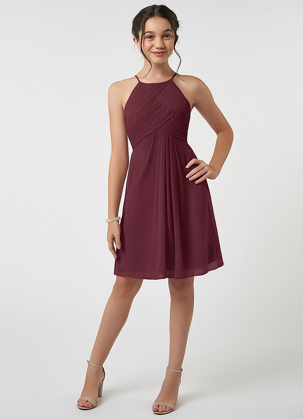 Azazie Ginny Junior Cabernet A-Line Pleated Chiffon Dress image1