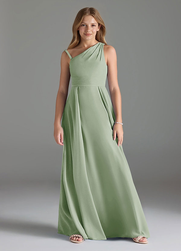 Azazie Dallas Junior Dusty Sage A-Line Pleated Chiffon Dress image1