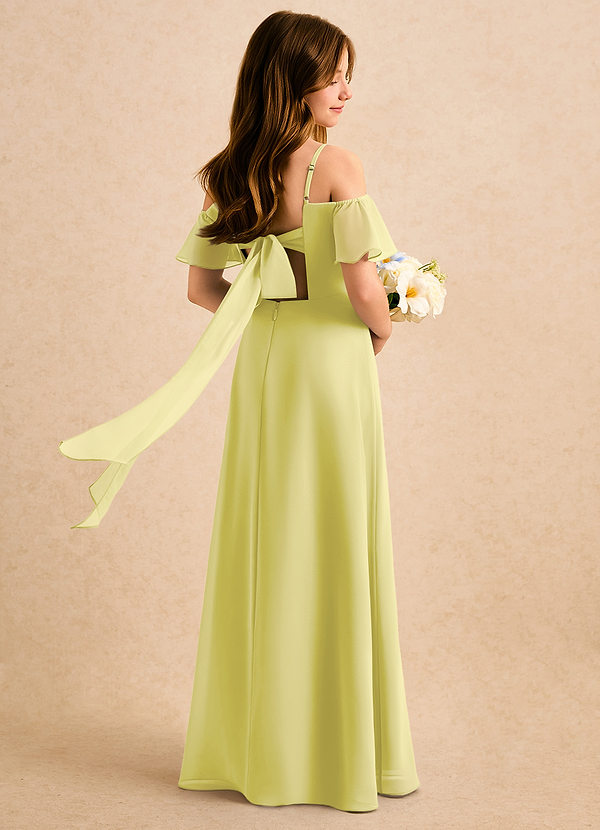 Azazie Robyn Girls Formal Sukienki dla dziewczynek sypiących kwiaty Linia A Dekolt w kształcie serca Szyfon Długość podłogi Sukienka image1