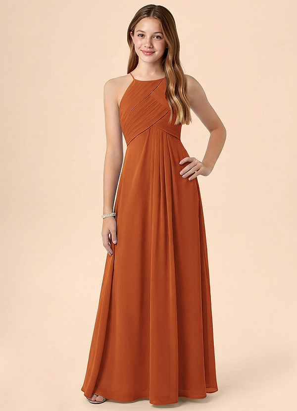 Azazie Ginny Junior A-Line Plisseret Chiffon Gulv-længde Junior brudepige Kjole image1