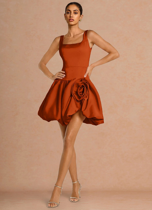 Elmirae Rust Mini Dress image1