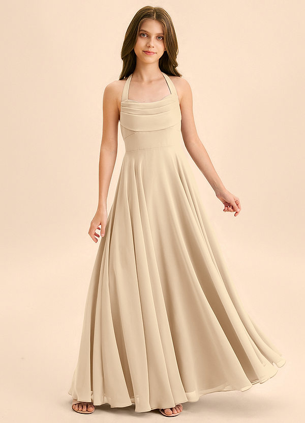 Azazie Kady Junior Robe Trapèze en Mousseline de soie Encolure en Forme de Cœur Champagne image1