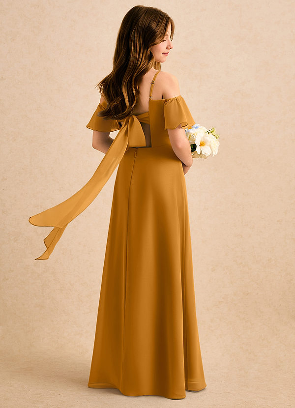 Azazie Robyn Girls Formal Sukienki dla dziewczynek sypiących kwiaty Linia A Dekolt w kształcie serca Szyfon Długość podłogi Sukienka image1