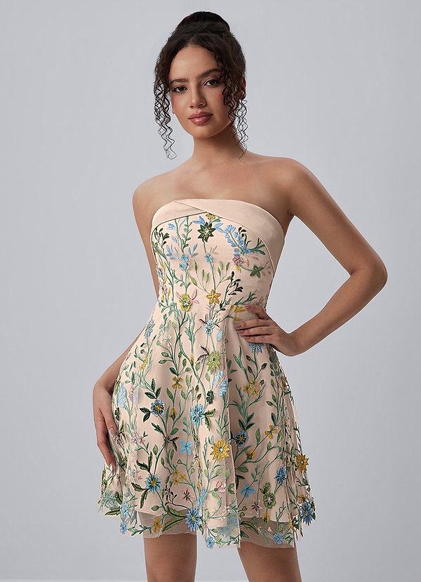 Margaux Blush Pink Multi Strapless Floral Embroidery Lace-Up Skater Mini Dress image1