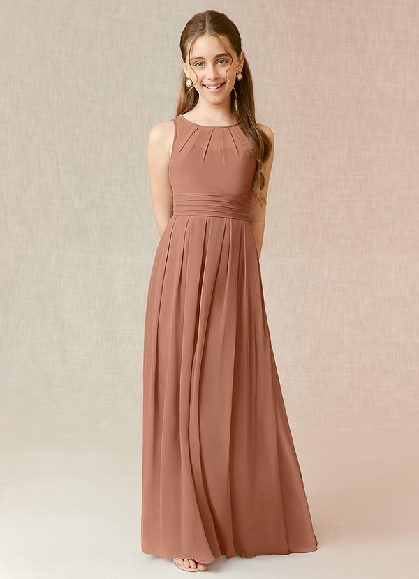 Azazie Bibiane Junior Bronzer A-Line Pleated Chiffon Dress image1