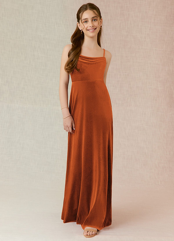 Azazie Solange Junior Burnt Orange A-Line Velvet Dress image1