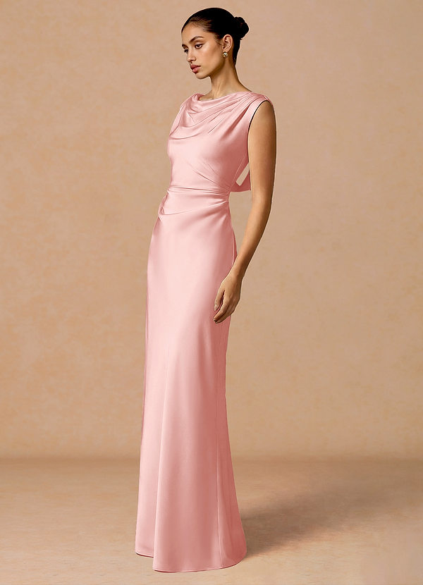 Evarine Haze Pink Maxi Dress image1