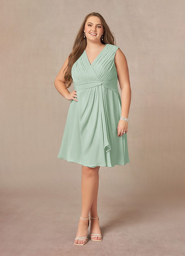 Azazie Theron Mother of the Brides Dresses Agave A-Line V-Neck Pleated Chiffon Dress image1
