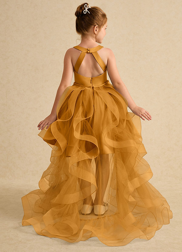Azazie Julietta Robes de Fillette d'Honneur Robe Princesse en Tulle Convertible Caramel écossais image1