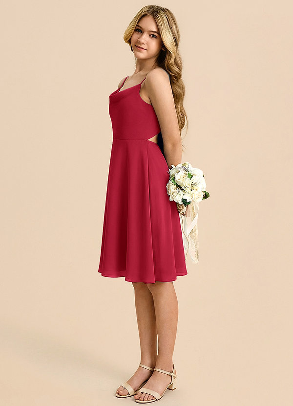 Azazie Shale Vestido de Escarlata de Gasa de Corte en A con Lazo image1