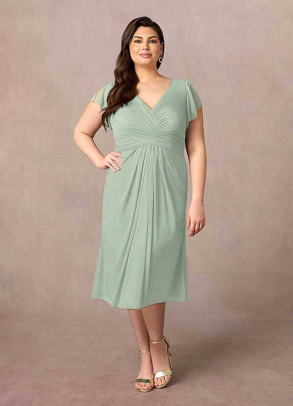 Azazie Vera Mother of the Brides Dresses Dusty Sage A-Line V-Neck Pleated Mesh Dress image1