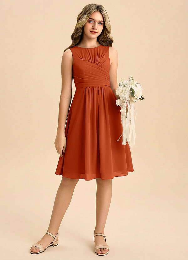 Azazie Skyla Junior Linia A Pofałdowany Szyfon Mini Młodsza druhna Sukienka image1