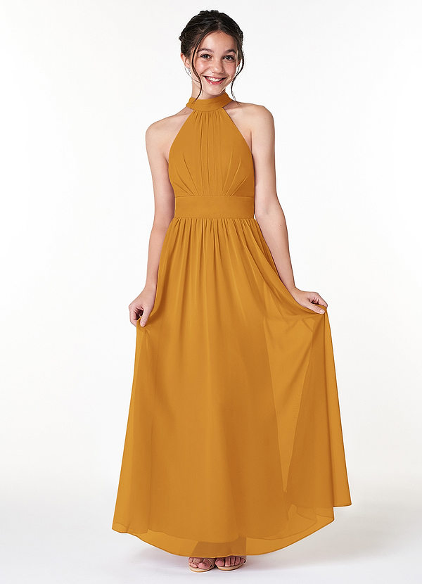 Azazie Iman Junior Butterscotch A-Line Pleated Chiffon Dress image1