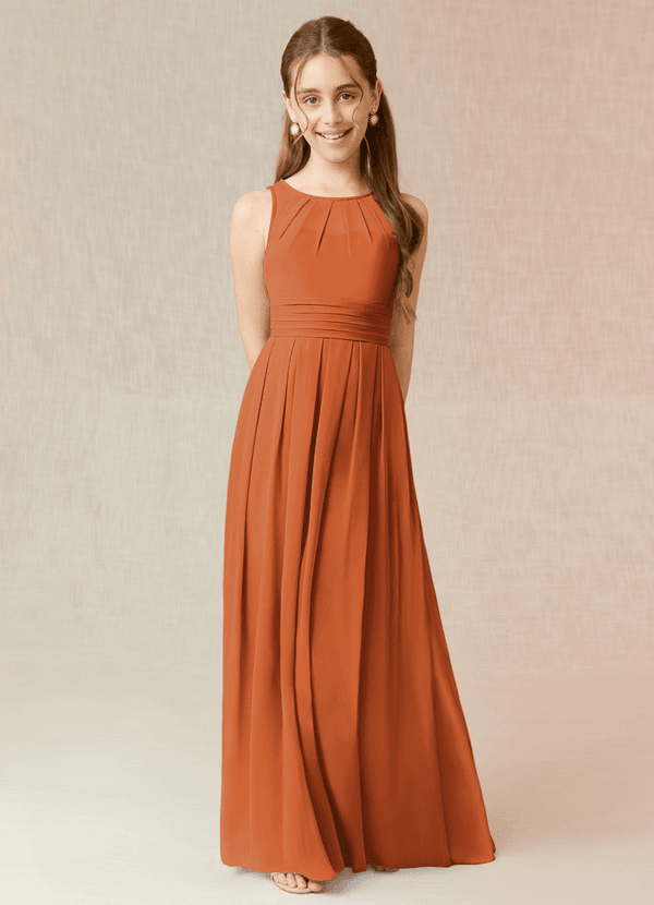 Azazie Bibiane Junior Cinnamon A-Line Pleated Chiffon Dress image1
