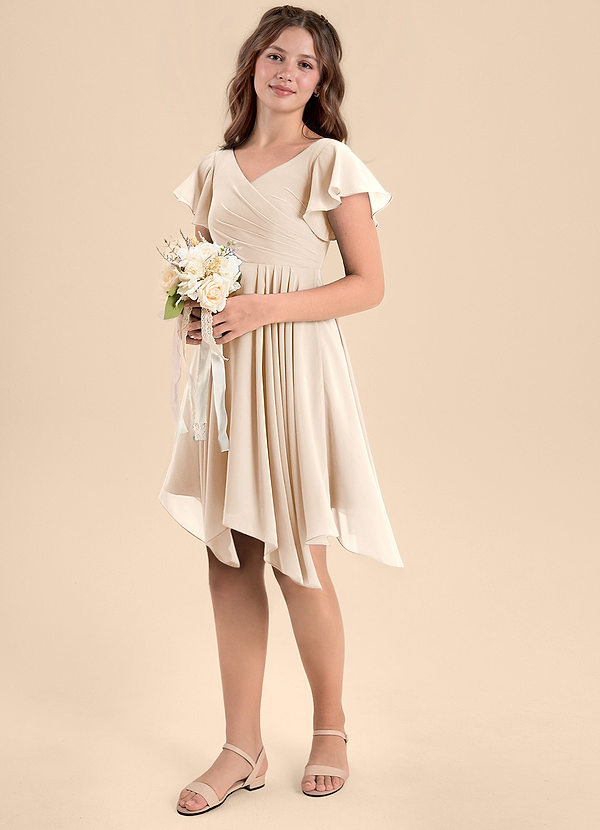 Azazie Janeaurelia Junior White Alabaster A-Line Pleated Chiffon Dress image1