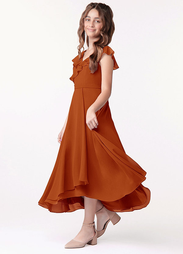 Azazie Posie Junior A-Linie Gestreift Chiffon Kleid Paprika image1