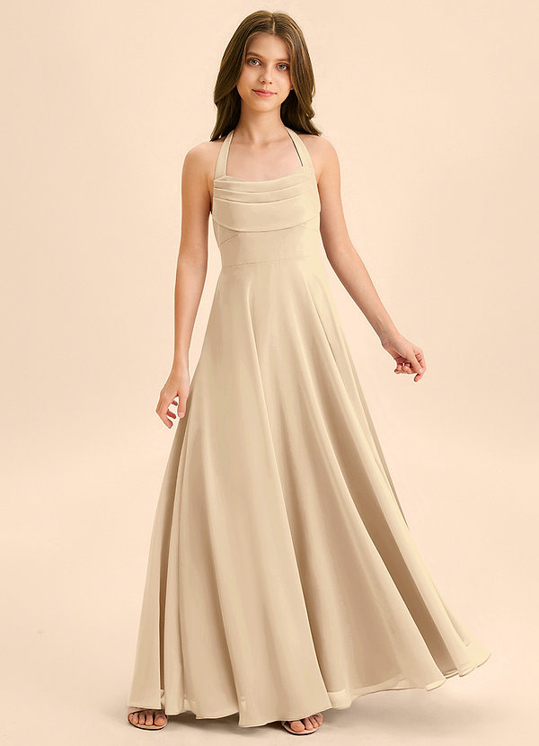 Azazie Kady Junior Champagne A-Line Sweetheart Neckline Chiffon Dress image1