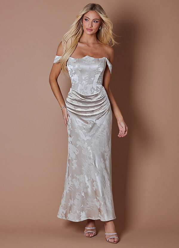 Pheobe Platinum Gray Maxi Dress image1
