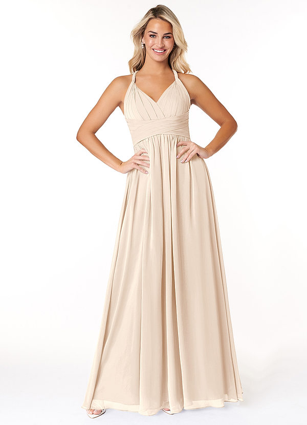 Ashia A-Line Pleated Chiffon Dress