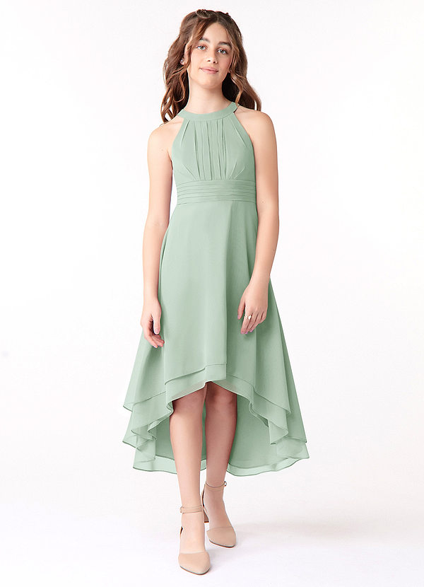 Azazie Linna Junior Agave A-Line Pleated Chiffon Dress image1