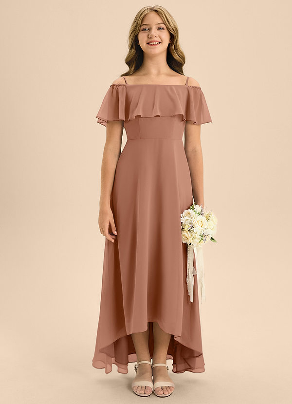 Azazie Maggie Junior Bronzer A-Line Off the Shoulder Chiffon Dress image1