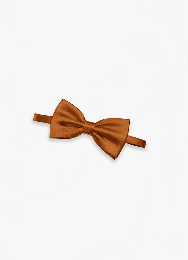 front Adjustable Metallic Satin Bow Tie