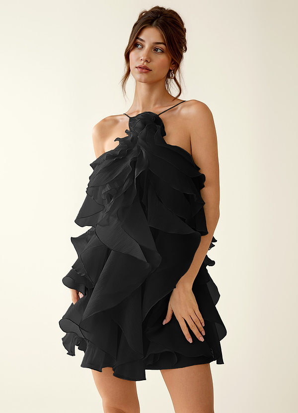 Oliamagn Black Ruffles Tulle Mini Dress image1