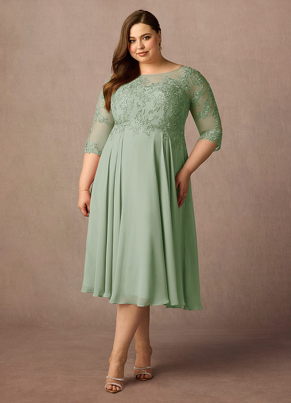 Azazie Marge Mother of the Brides Dresses Dusty Sage A-Line Scoop Lace Chiffon Dress image1