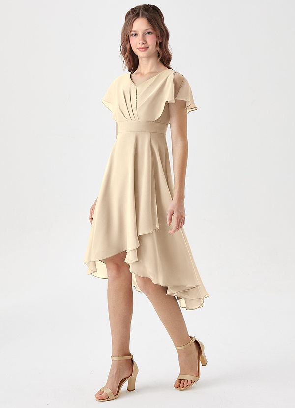 Azazie Graciela Junior Champagne A-Line Pleated Chiffon Dress image1