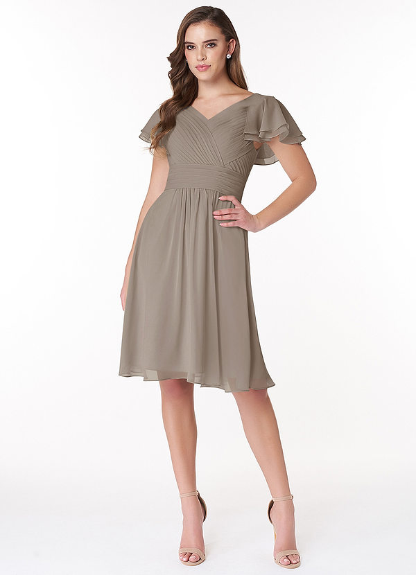 Hadley A-Line Pleated Chiffon Knee-Length Dress