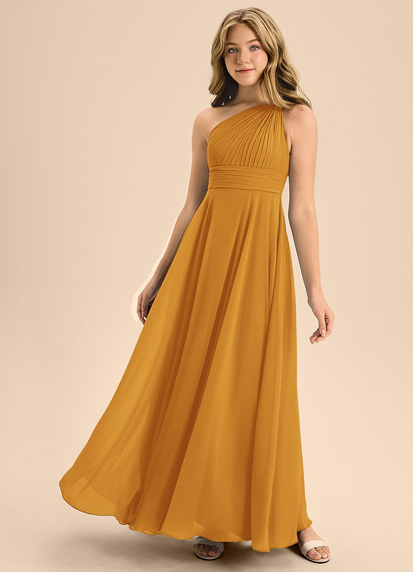 Charlize Junior Butterscotch A-Line Pleated Chiffon Dress image1