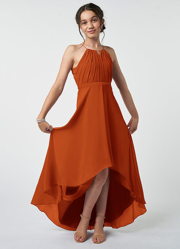 Azazie Oaklynn Junior Robe Trapèze en Mousseline de soie Plissée Cannelle image1