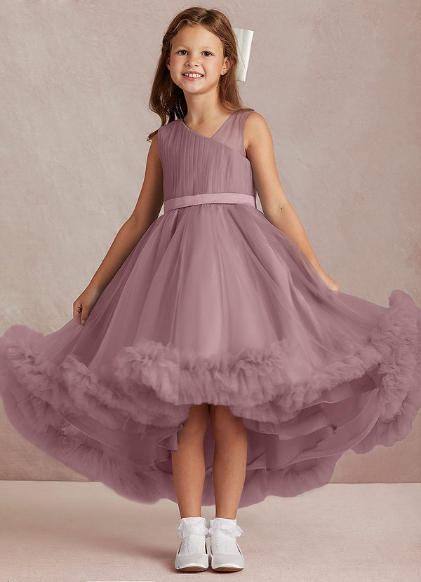 Dusty Rose A-Line One Shoulder Chiffon Dress main image 0