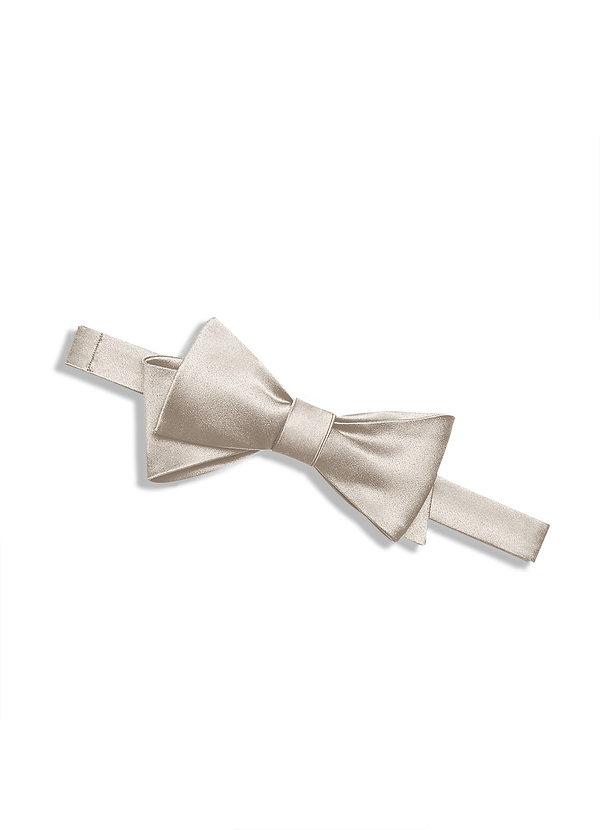 front Matte Satin Bow Tie