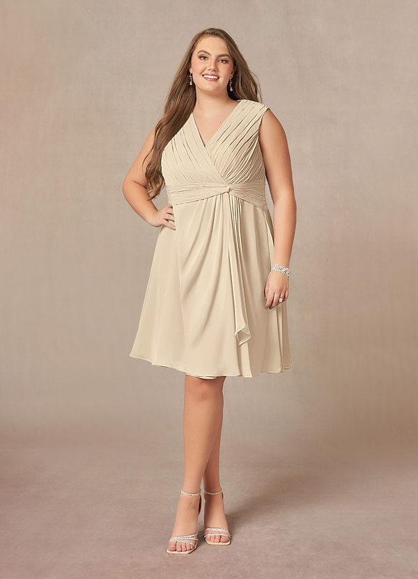 Azazie Theron Mother of the Brides Dresses Champagne A-Line V-Neck Pleated Chiffon Dress image1