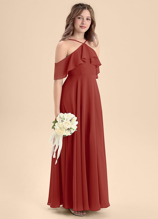 Tessabelle Junior Terracotta A-Line Off the Shoulder Chiffon Dress image1